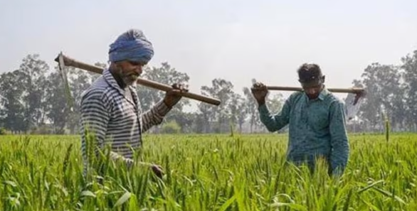 धमतरी के किसानों ने पीएम किसान सम्मान निधि योजना के लिए जताया प्रधानमंत्री मोदी का आभार