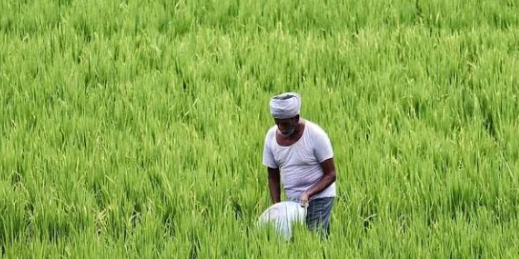 रबी सीजन 2025-26: फसल बीमा पोर्टल खुला, किसानों के लिए 31 दिसंबर तक बीमा कराने का मौका