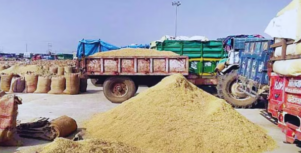 छत्तीसगढ़ में 15 नवम्बर से 3100 रुपये प्रति क्विंटल की दर से धान खरीदी, 25 लाख किसानों को मिलेगा फायदा