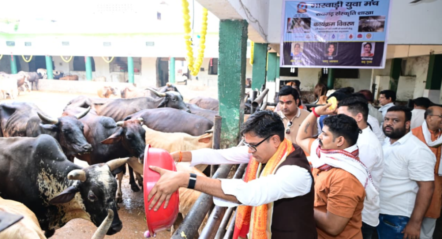 Cow Protection Raigarh: जन्मदिवस पर गौ-सेवा कर दिया संरक्षण का संदेश