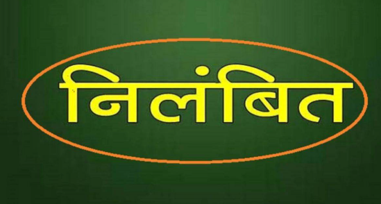 बलौदाबाजार में बायसन का करेंट लगाकर शिकार, वनरक्षक निलंबित, विभाग ने शुरू की जांच