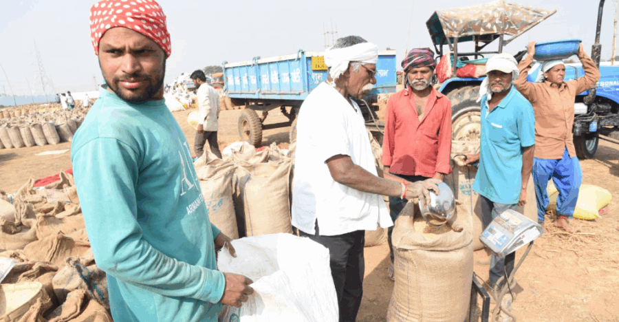 छत्तीसगढ़ में समर्थन मूल्य पर धान खरीदी तेज़, चार दिन में बढ़ी आवक—किसान निश्चिंत, व्यवस्था पारदर्शी