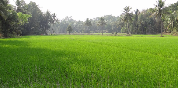 भूमि मूल्य निर्धारण नीति में बड़ा बदलाव, किसानों को मिलेगा न्यायपूर्ण