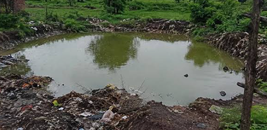 Gariaband Drowning: बारिश से भरे गड्ढे में डूबने से दो मासूम भाई-बहन की मौत, गांव में पसरा मातम