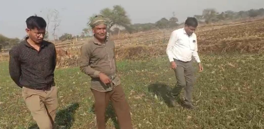 फसल विविधीकरण से बदली किसान की किस्मत, बेमेतरा के दिलीप सिन्हा ने कम पानी में कमाया 25 लाख का लाभ