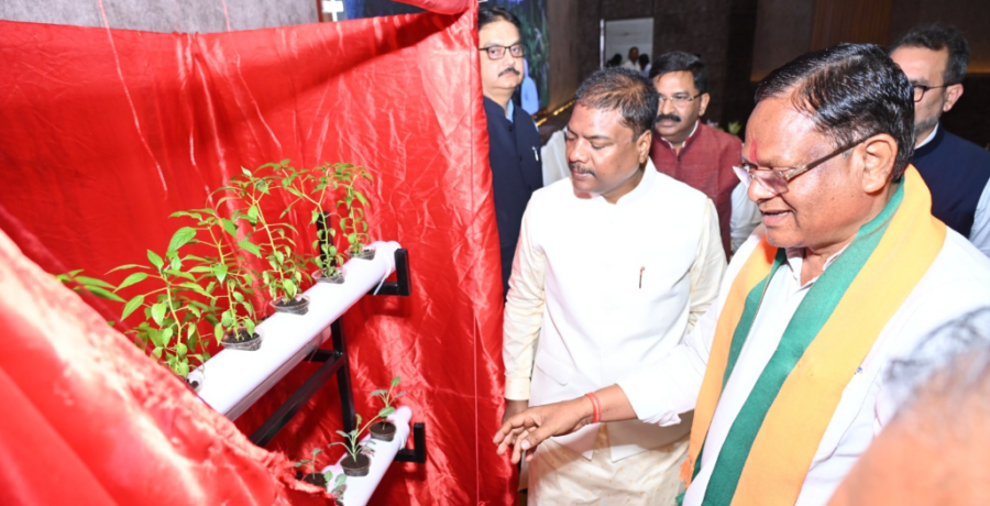 Hydroponics Farming: कम पानी में अधिक उत्पादन वाली आधुनिक खेती का नया दौर