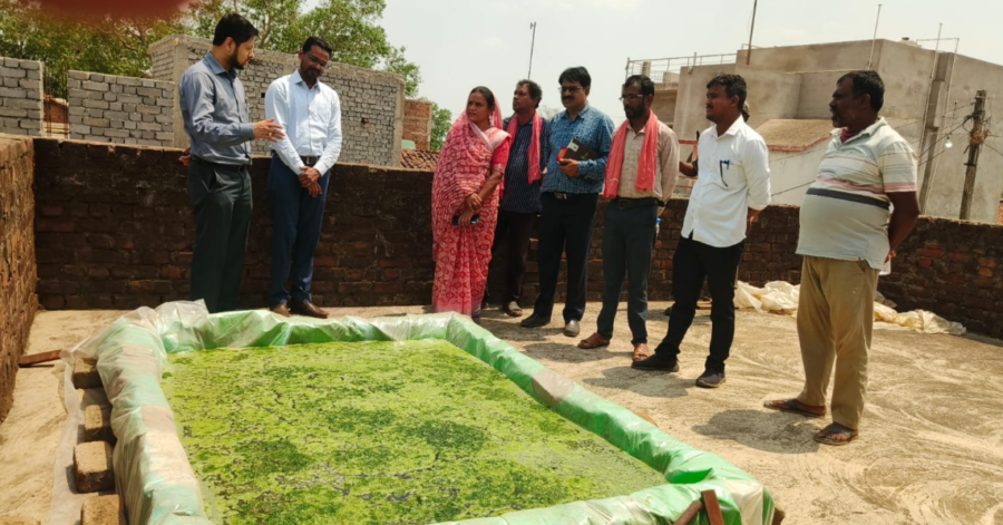 Blue Green Algae Farming Durg से खेती में आएगा बड़ा बदलाव