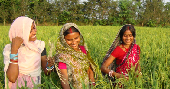 छत्तीसगढ़ सरकार की ऐतिहासिक पहल: अब वन पट्टों का फौती नामांतरण होगा सरल और पारदर्शी