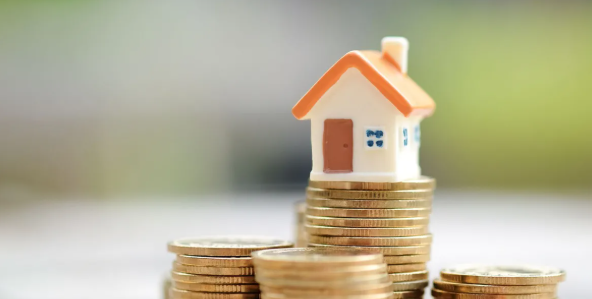 दुर्ग में संपत्ति कर पर 6% की छूट, करदाता 30 जून तक उठा सकते हैं लाभ: महापौर अलका बाघमार