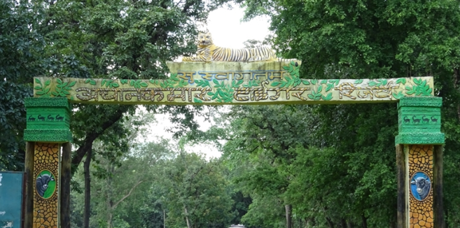 अचनकमार टाइगर रिजर्व: ‘वन हमारा है’ कहने वाले बैगा आदिवासियों की बेदखली के खिलाफ जंग