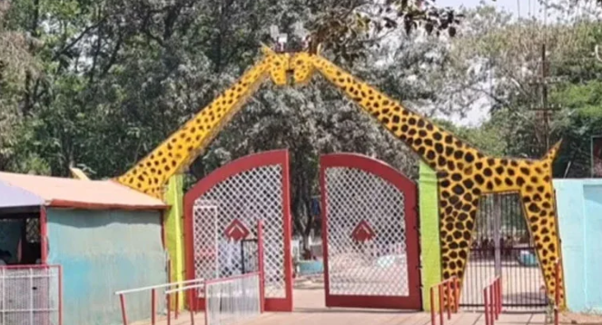 भिलाई का मैत्री बाग चिड़ियाघर होगा पूरी तरह निजी: सफेद बाघ संरक्षण केंद्र के निजीकरण पर बड़ी पहल