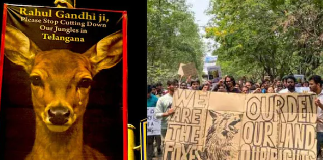 ‘तेलंगाना के जंगलों को काटना बंद करें’: भाजपा के तजिंदर बग्गा ने दिल्ली भर में पोस्टर लगाकर राहुल गांधी की आलोचना की