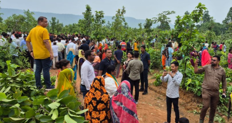 छत्तीसगढ़: रायगढ़ में कोयला खनन के लिए 5,000 पेड़ों की कटाई, विरोध कर रहे आदिवासी हिरासत में