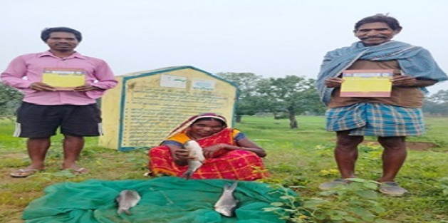 20 साल पुराने तालाब का कायाकल्प: सिंचाई और मछलीपालन से बदल रही है ग्रामीणों की जिंदगी