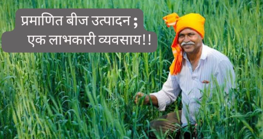 छत्तीसगढ़ बीज निगम का ऑफर: किसानों को बीज उत्पादन कार्यक्रम से प्रति हेक्टेयर 40 हजार तक अतिरिक्त लाभ