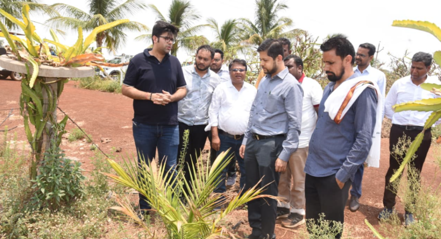 Oil Palm Farming Durg को बढ़ावा देने में जुटा प्रशासन