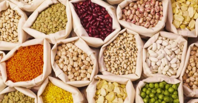 पीएम आशा योजना: समर्थन मूल्य पर दलहन–तिलहन खरीदी की तारीखें घोषित, किसानों की आय बढ़ाने सरकार की बड़ी पहल