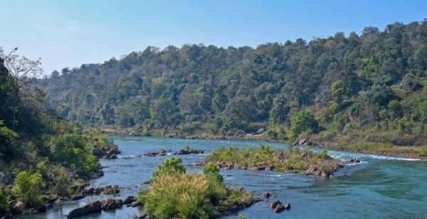 हसदेव अरण्य में 1,742 हेक्टेयर वन भूमि को कोयला खनन के लिए मंज़ूरी, 6 लाख से अधिक पेड़ों की कटाई की आशंका