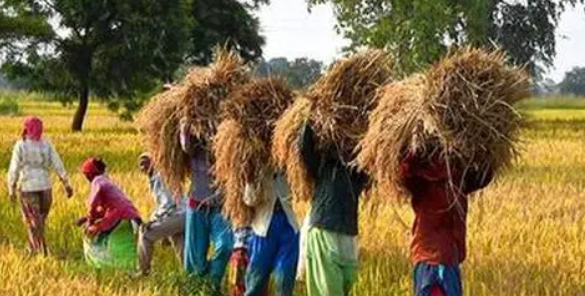 छत्तीसगढ़ में ‘अधिक गांव, अधिक जल’ अभियान के तहत जल संरक्षण सप्ताह का आयोजन