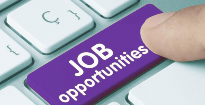 CG College Recruitment: 700 पदों की बड़ी खुशखबरी, युवाओं में खुशी