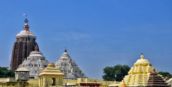 पुरी जगन्नाथ मंदिर के महाप्रसाद में ढेंकानाल की सुगंध, अब भगवान को अर्पित होगा जैविक चावल — 1,500 किसानों की मेहनत ने रचा इतिहास