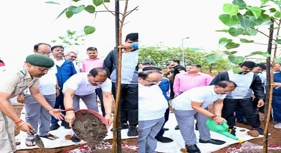 Ek Ped Maa Ke Naam: मुख्यमंत्री विष्णुदेव साय ने किया पौधरोपण, पर्यावरण संरक्षण का दिया संदेश
