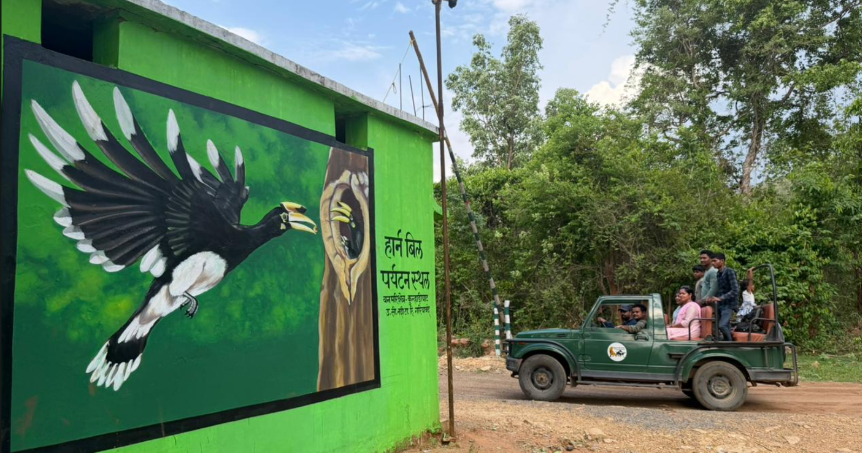 Hornbill Safari: उदंती-सीतानदी टाइगर रिजर्व में संरक्षण और पर्यटन का नया अध्याय