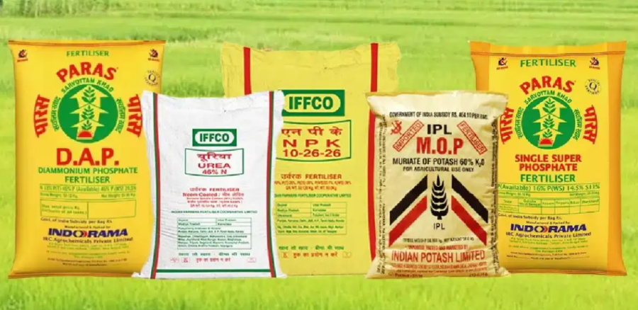 खरीफ सीजन में DAP Fertilizer Shortage से बढ़ी चिंता