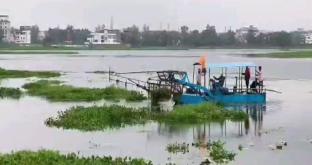 बस्तर का दलपत सागर संकट में: 13 करोड़ खर्च के बाद भी नहीं थमा प्रदूषण, अब वैज्ञानिक समाधान की दरकार