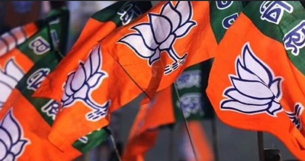 भाजपा उतई मंडल की कार्यकारिणी घोषित, संगठन विस्तार को मिला नया स्वरूप