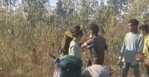 Forest Guard Assault: 5 चौंकाने वाले खुलासे, गुस्सा बढ़ा