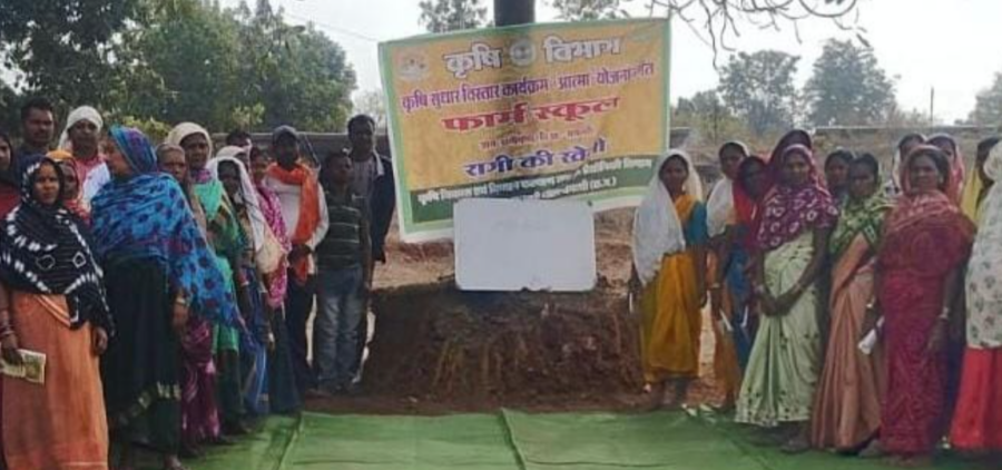 Dhamtari में 50 साल बाद रबी खेती की वापसी, आत्मा योजना से आदिवासी गांवों में रागी की ऐतिहासिक शुरुआत