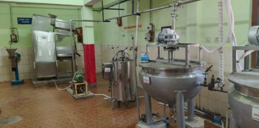 बस्तर की इमली चटनी को नई पहचान: सुकमा में वन धन विकास केंद्र से लॉन्च, महिलाओं को मिलेगा रोजगार