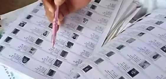 छत्तीसगढ़ में मतदाता सूची पुनरीक्षण अभियान में तेजी, अब तक 30 लाख मतदाताओं तक पहुंचीं बीएलओ टीमें