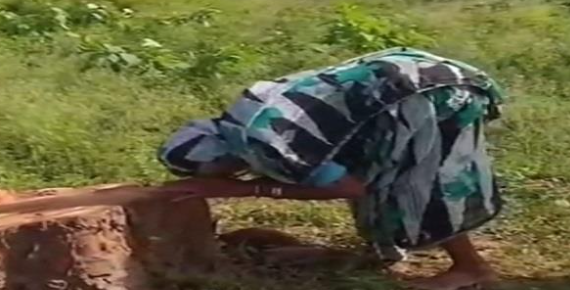 छत्तीसगढ़ की 90 वर्षीय देवला बाई पटेल का पेड़ से अटूट रिश्ता: 20 साल पुराना पीपल का पेड़ काटे जाने पर फूट-फूटकर रोई, किरेन रिजिजू ने साझा किया ‘दिल दहला देने वाला’ वीडियो