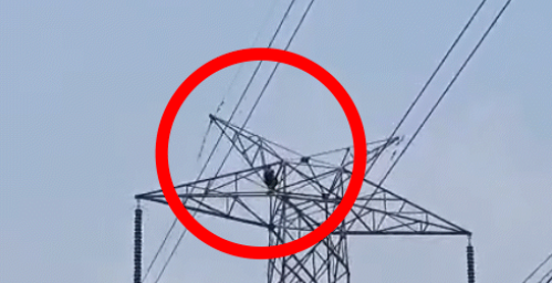 धमतरी में टावर पर चढ़ा युवक, 2 बीवी साथ रखने की जिद्द