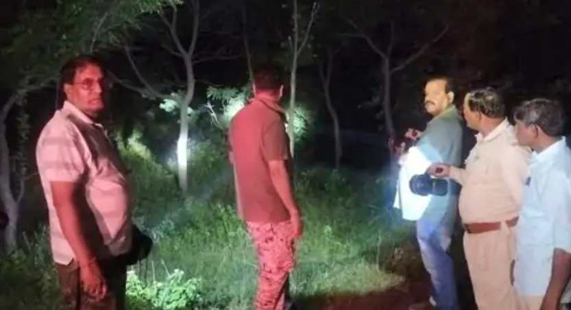 Dhamtari Elephant Alert: जंगल में दंतैल हाथी