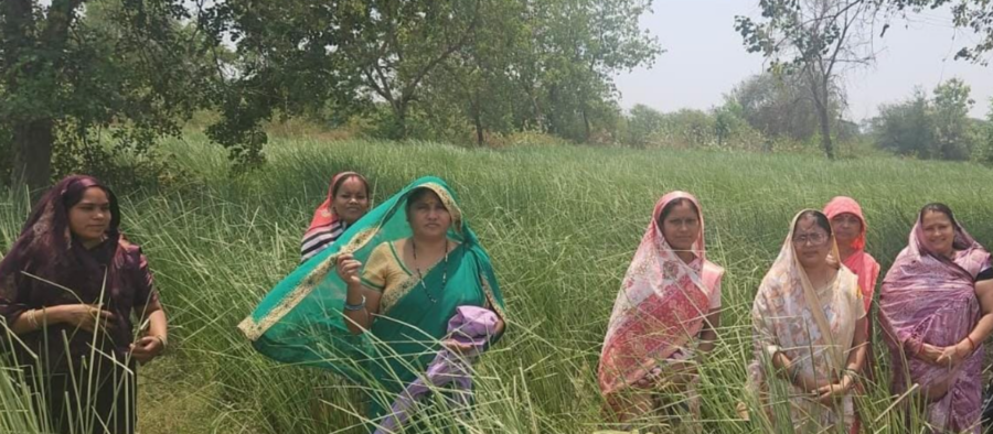 परखंदा की महिलाओं ने खस की खुशबू से रची आर्थिक आजादी की नई इबारत